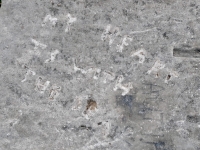 My heart is with the sea, on Goodboy rock. Chicago lakefront stone carvings, Promontory Point. 2025