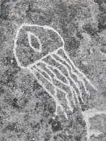 Jellyfish (detail), EMS, butterfly. Chicago lakefront stone carvings, Promontory Point. 2025