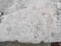 Incomplete cat face, diamond shape, acorn. Chicago lakefront stone carvings, Promontory Point. 2025