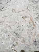 Incomplete cat face, diamond shape, acorn (detail). Chicago lakefront stone carvings, Promontory Point. 2025