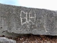 Jellyfish, EMS, butterfly (vertical detail). Chicago lakefront stone carvings, Promontory Point. 2025