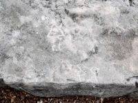 Strange figure, bird. Chicago lakefront stone carvings, Promontory Point. 2025