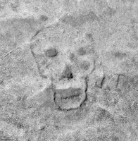 Skull, JI. Chicago lakefront stone carvings, Promontory Point. 2018