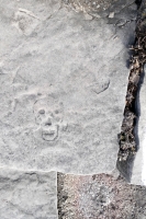 Skull. Level 4. Chicago lakefront stone carvings, Promontory Point. 2022