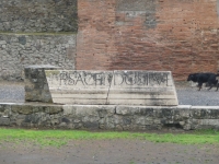 Pompeii dog