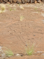Stick figures, the Puako petroglyphs