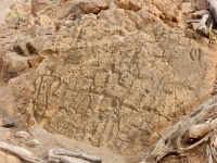 Some figures, the Puako petroglyphs