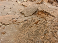Connected figures, the Puako petroglyphs