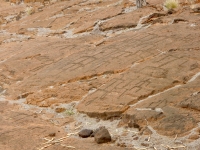 Groups of connected figures, the Puako petroglyphs