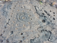 Concentric circles with cupules and figure, Pu`u Loa petroglyphs, ⁨Hawai‘i Volcanoes National Park⁩