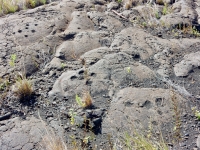 Cupule groups, Pu`u Loa petroglyphs, ⁨Hawai‘i Volcanoes National Park⁩