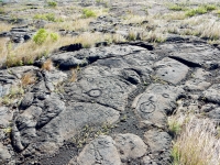 Circles, Pu`u Loa petroglyphs, ⁨Hawai‘i Volcanoes National Park⁩