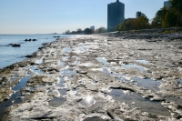 The shoreline and offshore rocks, south of La Rabida Hospital, looking south. The lake is high and the rock-bearing carvings are in the water. 2021