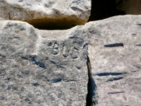 Flamm, Charles Nixon, Bud (detail). Chicago lakefront stone carvings, south of La Rabida Hospital. 2025