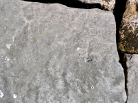 JM, SLIVS, and others. Chicago lakefront stone carvings, south of La Rabida Hospital. 2023