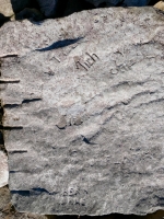 LA, RIch, Jay, Flamm, BER N RRC. Chicago Lakefront stone carvings, south of La Rabida Hospital. 2025