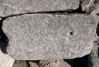 RL. Chicago Lakefront stone carvings, south of La Rabida Hospital. 2025