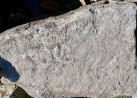 Arrow (pointing up), V (in a frame), X. Chicago Lakefront stone carvings, south of La Rabida Hospital. 2025