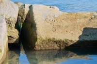 Jerry, Al, Bob, Ronnie George, Lefty, T, B.H. Chicago lakefront stone carvings, south of La Rabida Hospital. 2021