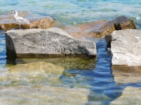 Verno. Chicago lakefront stone carvings, south of La Rabida Hospital. 2022