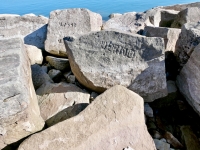 Verno. Chicago Lakefront stone carvings, south of La Rabida Hospital. 2025