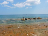 Steve Strong inspecting the 12-panel carving when it was just above the water line. Chicago Lakefront stone carvings, south of La Rabida Hospital. 2022