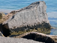 Lefty, RO, others. Chicago lakefront stone carvings, south of La Rabida Hospital. 2023
