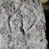 Perhaps CD. Chicago Lakefront stone carvings, south of La Rabida Hospital. 2025