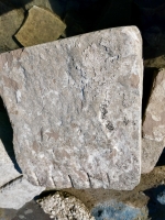 Rich. Chicago Lakefront stone carvings, south of La Rabida Hospital. 2025