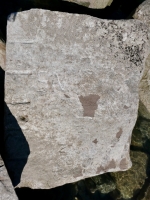 SN, Z. Chicago Lakefront stone carvings, south of La Rabida Hospital. 2025