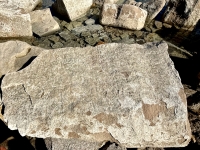 Ella Adler, others. Chicago Lakefront stone carvings, south of La Rabida Hospital. 2025