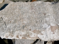 Ella Adler, others. Chicago Lakefront stone carvings, south of La Rabida Hospital. 2025