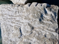 Pee W, SW. Chicago Lakefront stone carvings, south of La Rabida Hospital. 2025