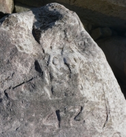 Unfinished head, 40, 92, detail. Chicago Lakefront stone carvings, south of La Rabida Hospital. 2025
