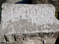 Fools. Chicago Lakefront stone carvings, south of La Rabida Hospital. 2025