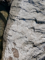 ROCK OF. Chicago Lakefront stone carvings, south of La Rabida Hospital. 2025