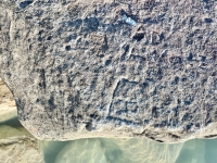 AD, T, E. Chicago Lakefront stone carvings, south of La Rabida Hospital. 2025