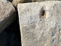 LC. Chicago Lakefront stone carvings, south of La Rabida Hospital. 2025