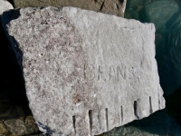 Beans. Chicago Lakefront stone carvings, south of La Rabida Hospital. 2025
