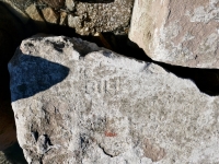 Bill. Chicago Lakefront stone carvings, south of La Rabida Hospital. 2025