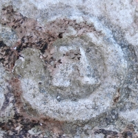 Circle A. Chicago Lakefront stone carvings, south of La Rabida Hospital. 2025