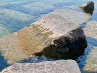 Alina, CH, WBV. Chicago lakefront stone carvings, south of La Rabida Hospital. 2023