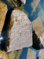 J. KIR, WB, VM, M. Chicago lakefront stone carvings, south of La Rabida Hospital. 2023