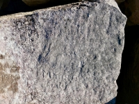 Manny + Mary (detail), others. Chicago Lakefront stone carvings, south of La Rabida Hospital. 2025