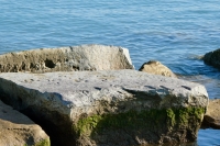 Autograph rock: JI, Bob, K, G.T., C, Ray, Babe, W, K, Shorty, Pegleg, Bart, Ray, others. Chicago lakefront stone carvings, south of La Rabida Hospital. 2021