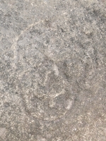 Face (detail), Lynn, others. Chicago Lakefront stone carvings, south of La Rabida Hospital. 2025