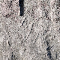 Swastika (detail), Don R. Chicago Lakefront stone carvings, south of La Rabida Hospital. 2025