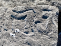 Autograph Rock: Richard Wine, HE, the Swede, AI, Tom, DIM, JK, OZE, LAM, M-7 (detail). Chicago lakefront stone carvings, south of La Rabida Hospital. 2025