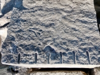 Incomplete peace symbol, CDL, ML, hourglass, NJ Haab. Chicago lakefront stone carvings, south of La Rabida Hospital. 2025