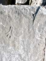 Incomplete peace symbol, CDL, ML, hourglass, NJ Haab. Chicago lakefront stone carvings, south of La Rabida Hospital. 2023